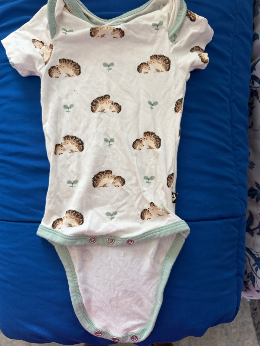 Kyte BABY White Onesie with Mint Trim and Hedgehog Print